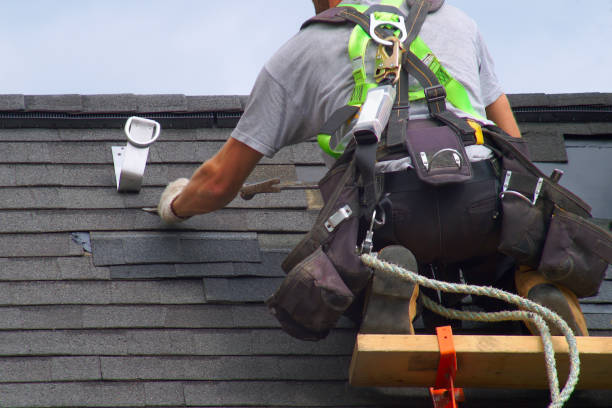 Best Sealant for Roof  in Charles City, IA