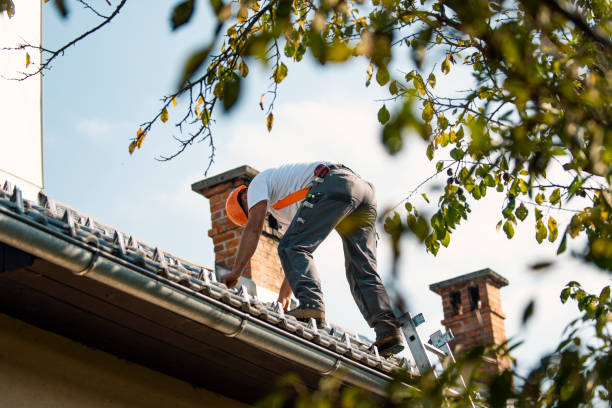 Best Roof Repair Services  in Charles City, IA