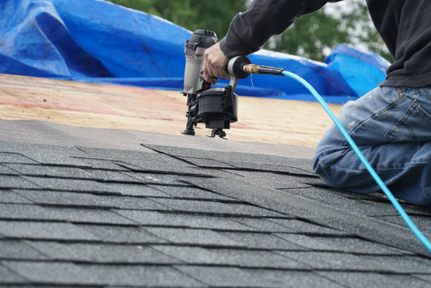 Best Sealant for Roof  in Charles City, IA