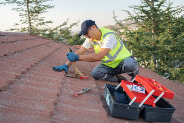 Best Roof Maintenance Services  in Charles City, IA