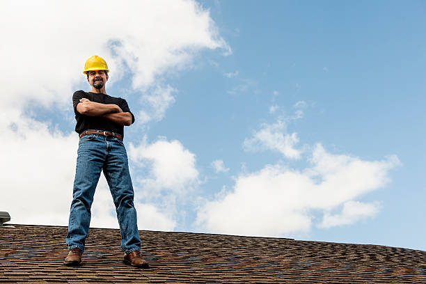 Best Roof Gutter Cleaning  in Charles City, IA