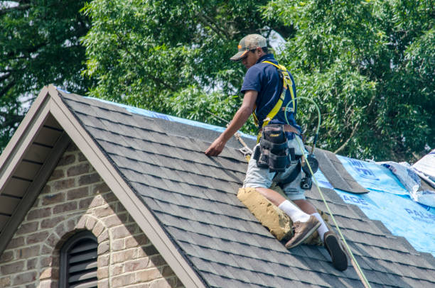 Roof Gutter Cleaning in Charles City, IA